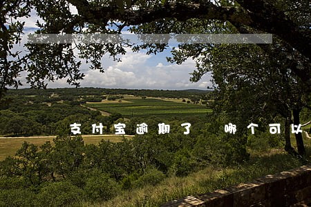 支付宝逾期了 哪个可以贷款